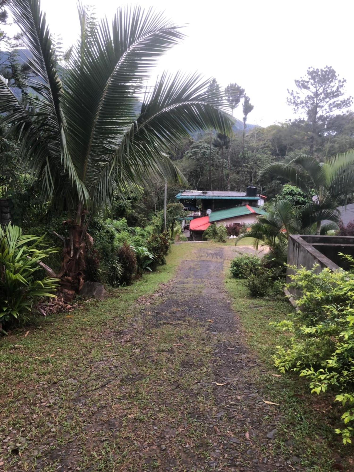 Hamadhi Guest Hotel Haldummulla ภายนอก รูปภาพ