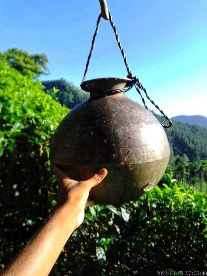 Hamadhi Guest Hotel Haldummulla ภายนอก รูปภาพ