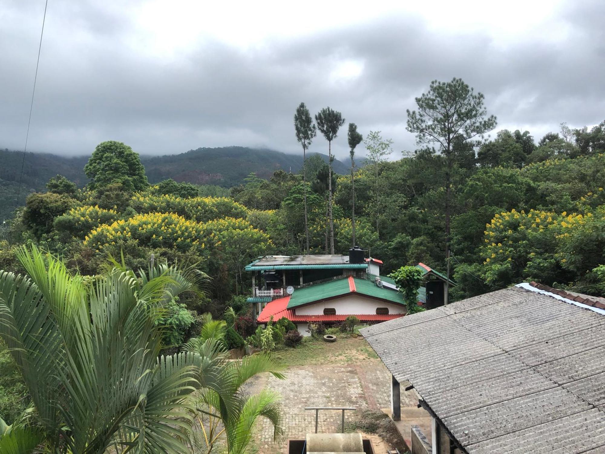Hamadhi Guest Hotel Haldummulla ภายนอก รูปภาพ