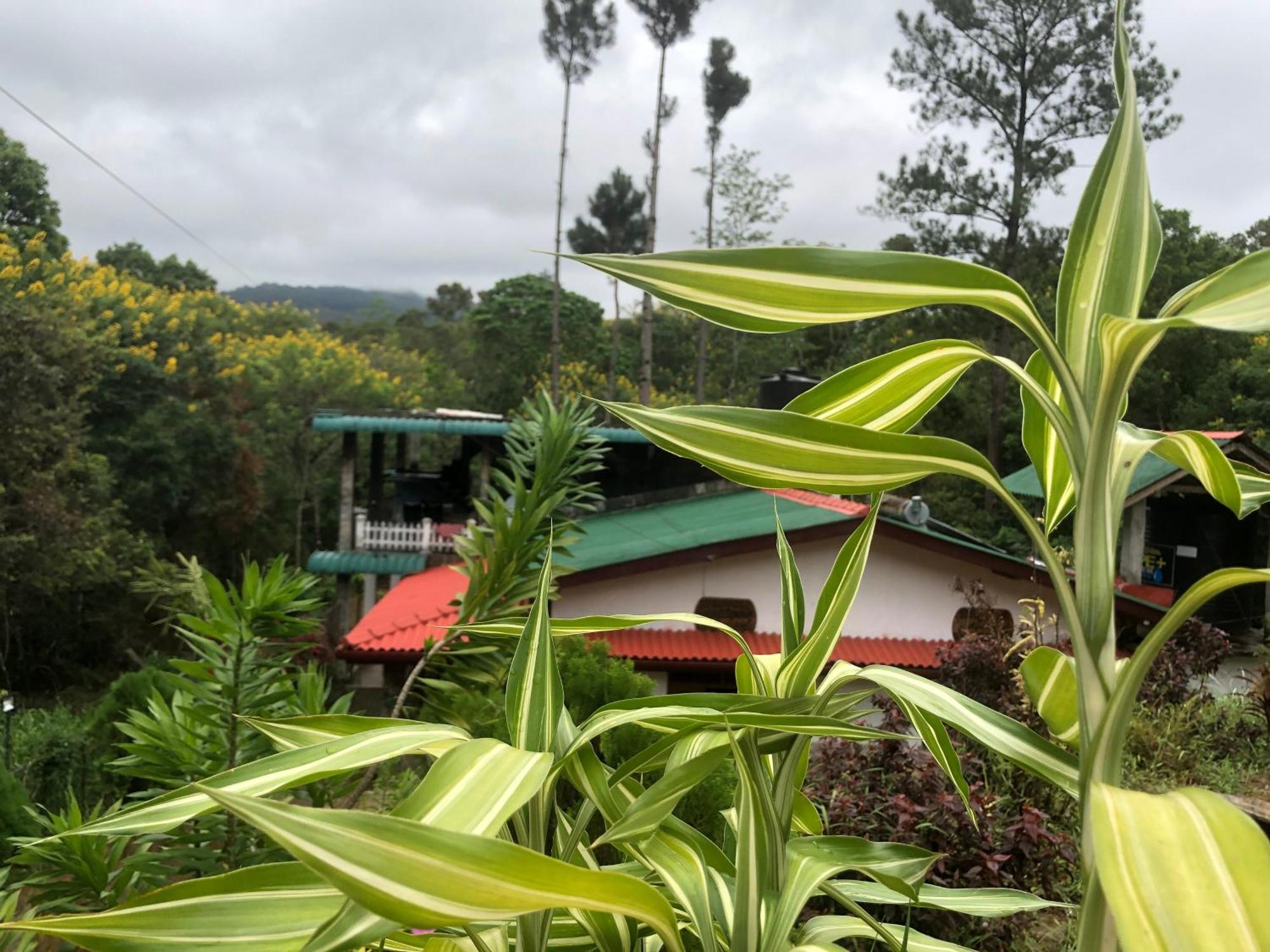 Hamadhi Guest Hotel Haldummulla ภายนอก รูปภาพ