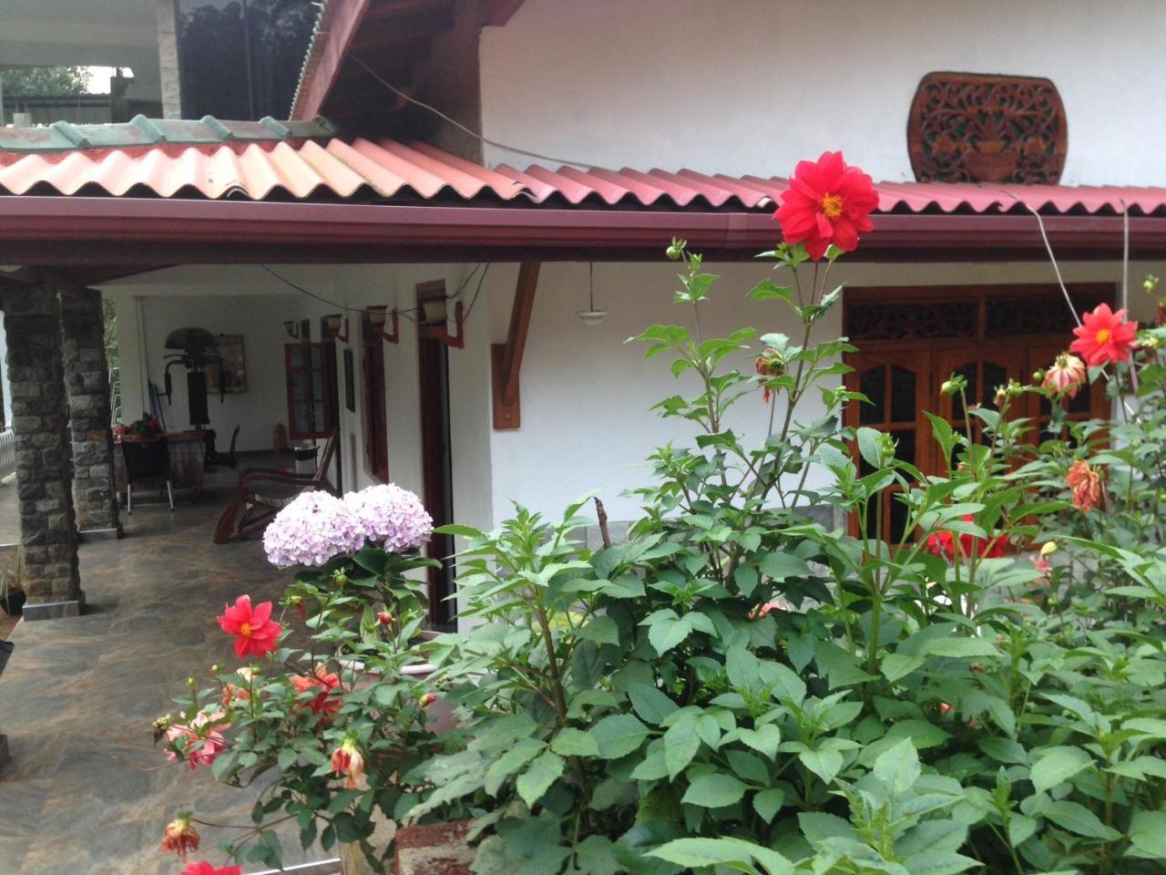 Hamadhi Guest Hotel Haldummulla ภายนอก รูปภาพ