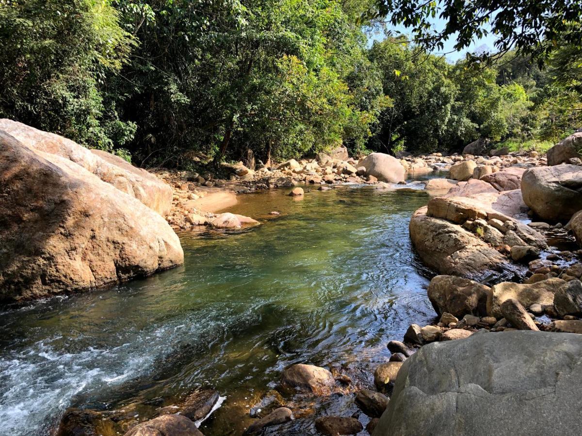 Hamadhi Guest Hotel Haldummulla ภายนอก รูปภาพ